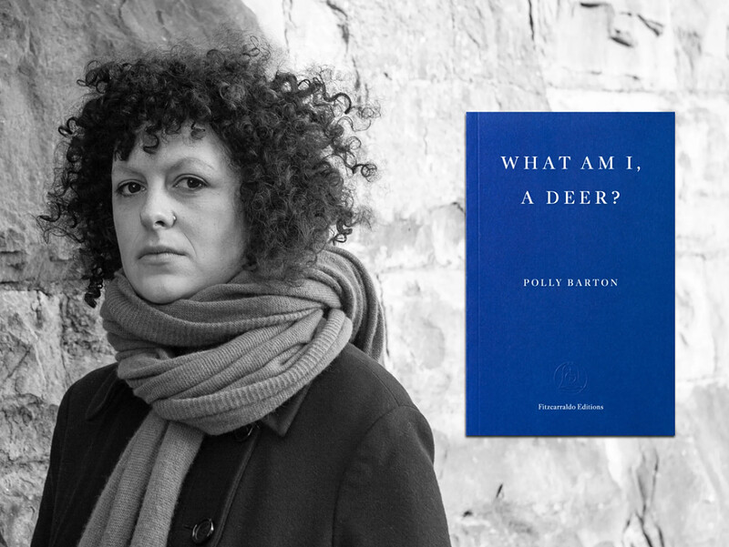 Polly Barton: What Am I, A Deer? at The Cube