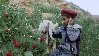 Short Films at The Cube
