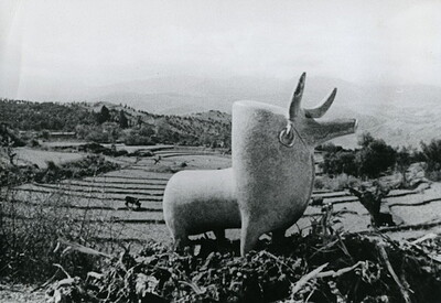Subversive Iranian Documentary at The Cube