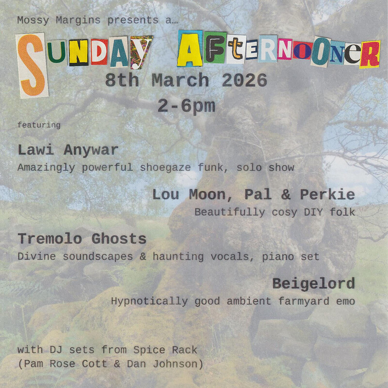 Sunday Afternooner w/ Lawi Anywar, Lou Moon/Pal/Perkie, Tremolo Ghosts.. at The Cube