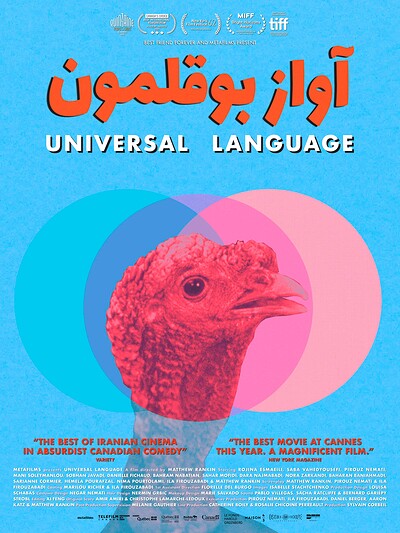 Universal Language - 18 TBA - 5pm at The Cube