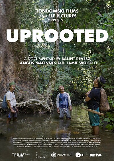 Uprooted: The Olympic Tribe at The Cube