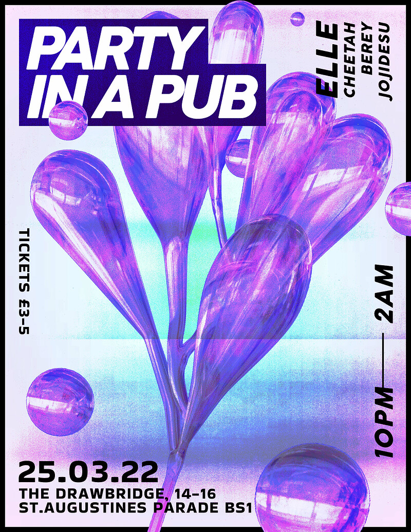 Party In A Pub at The Drawbridge