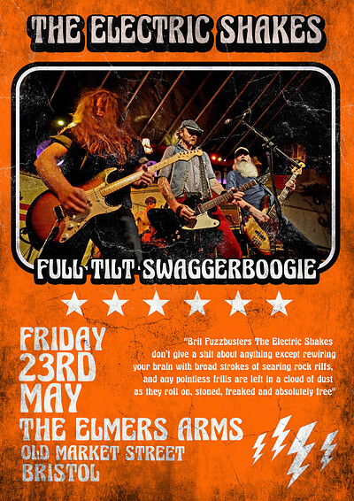 The Electric Shakes at The Elmer's Arms