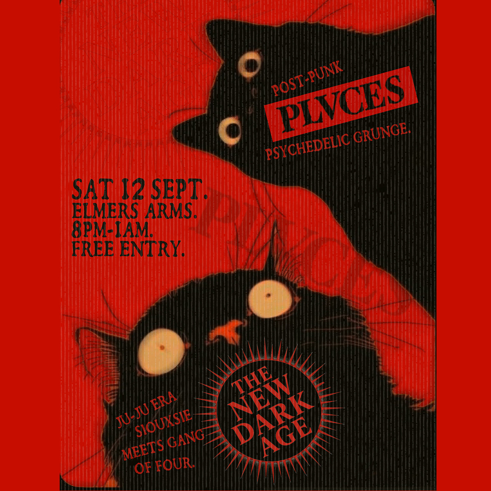 The New Dark Age  +  PLVCES at The Elmer's Arms