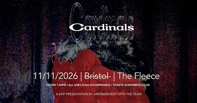 Cardinals at The Fleece