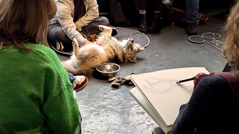 Dog Life Drawing Classes at The Full Moon & Attic Bar