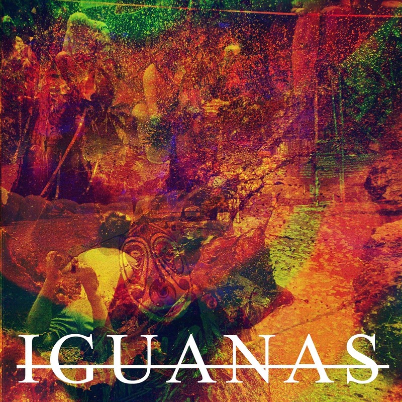 Iguanas at The Attic Bar