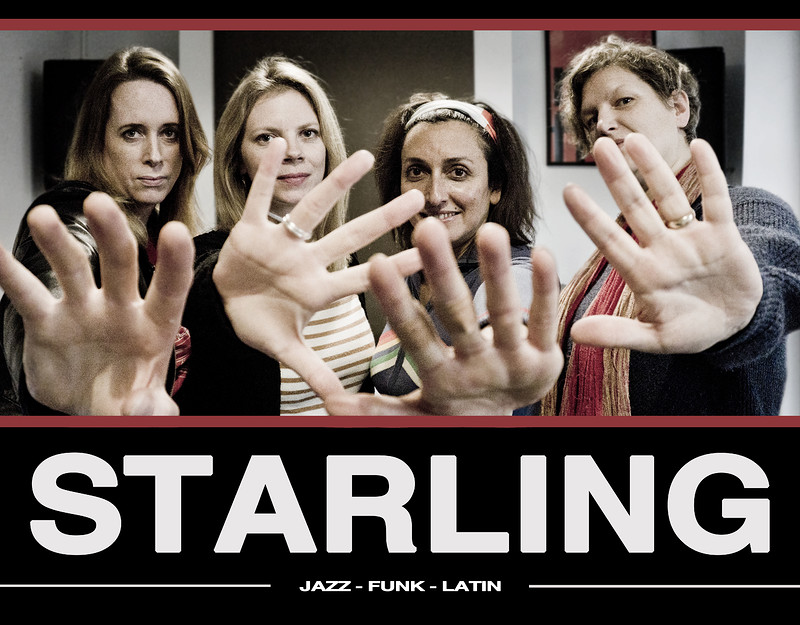 Starling at The Golden Lion