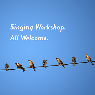 Heartwood Chorus Singing Workshop at The Harbour Totterdown