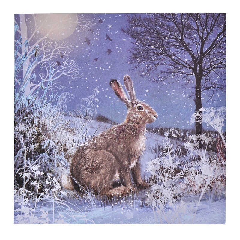 Carols on the Hill at The Hare on the Hill