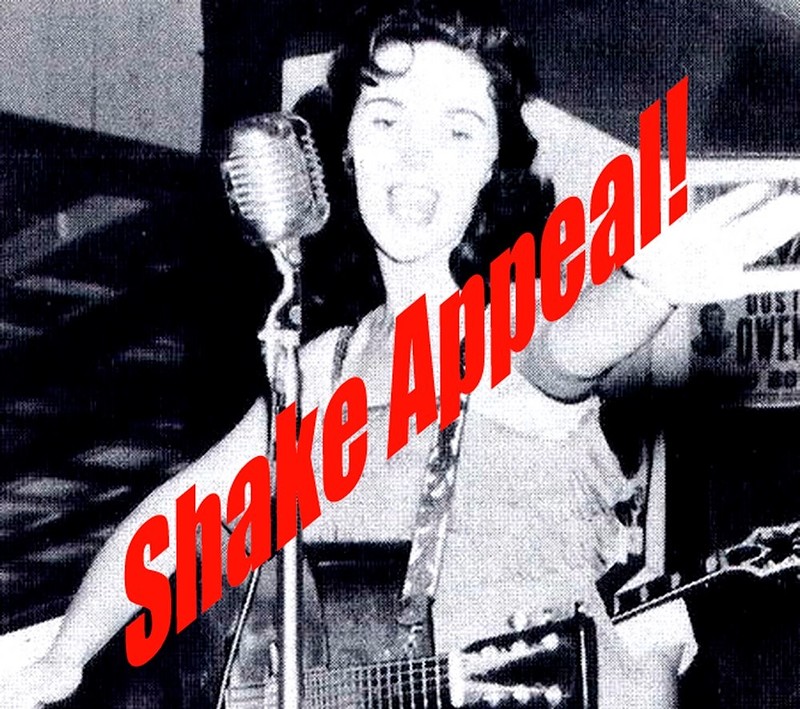 DJ Shake Appeal at The Hare on the Hill