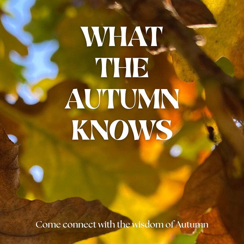 What the Autumn Knows: A seasonal connection workshop at The Haven