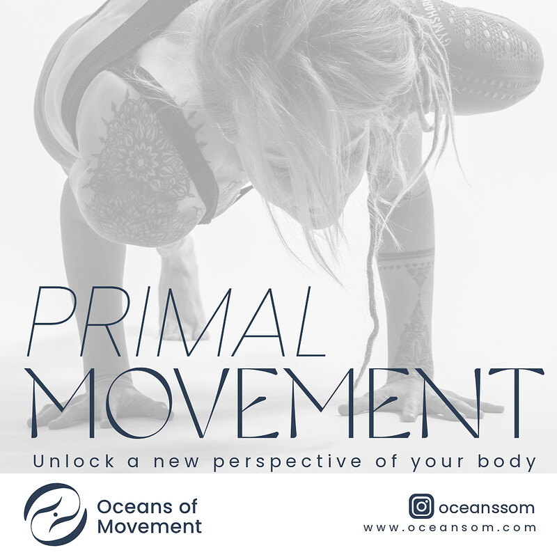 PRIMAL MOVEMENT - at The Hideout, St Judes, Unit 2 White St, St Jude's, Bristol BS5 0TS