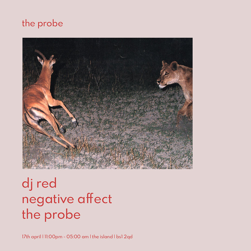 DJ Red, Negative Affect, and Probe DJs at The Island