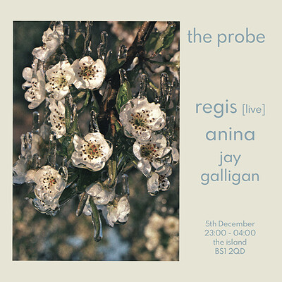 Regis featuring Liam Andrews + Anina + Jay Galligan at The Island