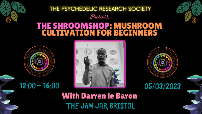 The Shroomshop: Mushroom Cultivation for Beginners at The Jam Jar