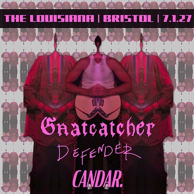 Gnatcatcher | Defender | Candar at The Louisiana