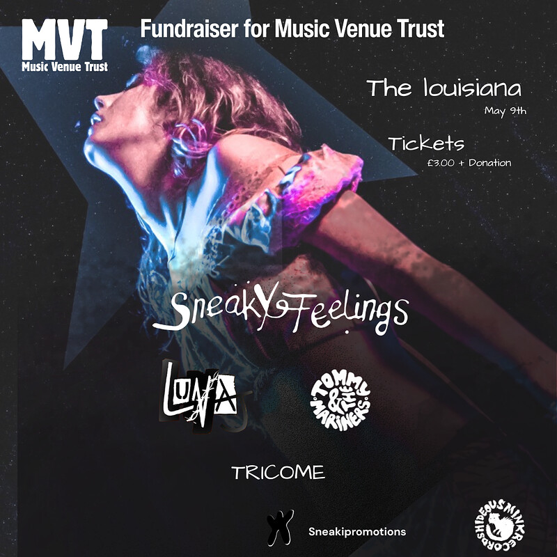 The Sneaky Feelings - MVT Fundraiser at The Louisiana