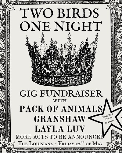 One Night at The Louisiana