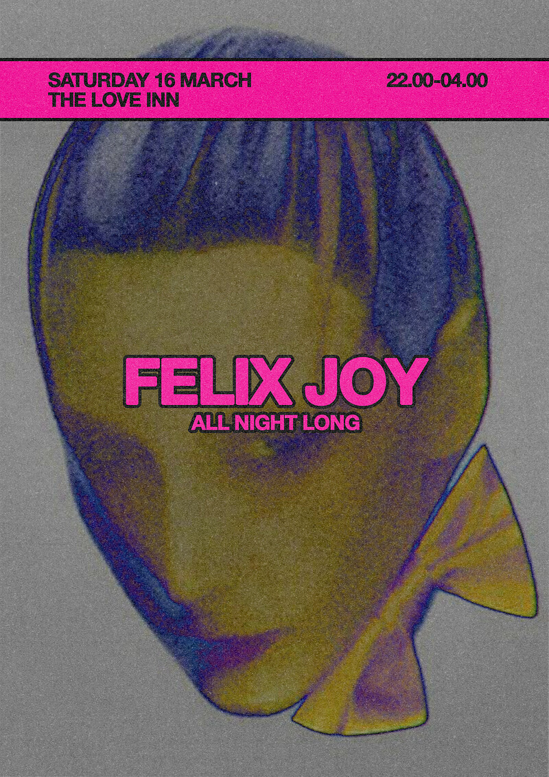 Felix Joy at The Love Inn