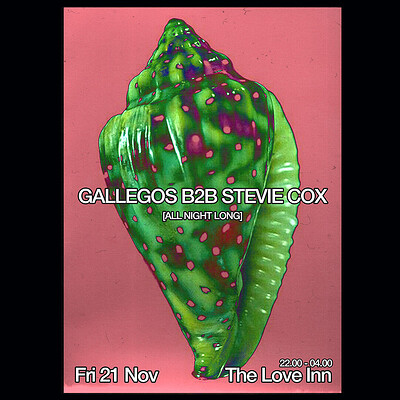 Gallegos + Stevie Cox at The Love Inn