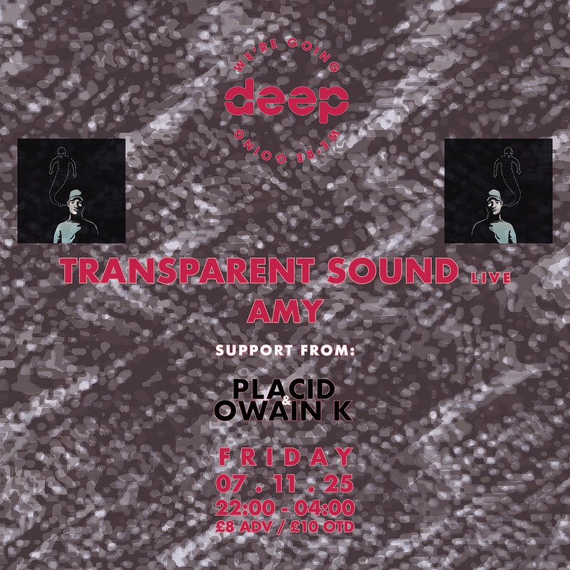 We're Going Deep w/ Transparent Sound , Amy, Owain K + Placid at The Love Inn