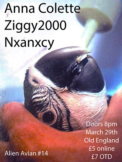 Anna colette, Bert Usherr, Nxanxcy at The Old England Pub
