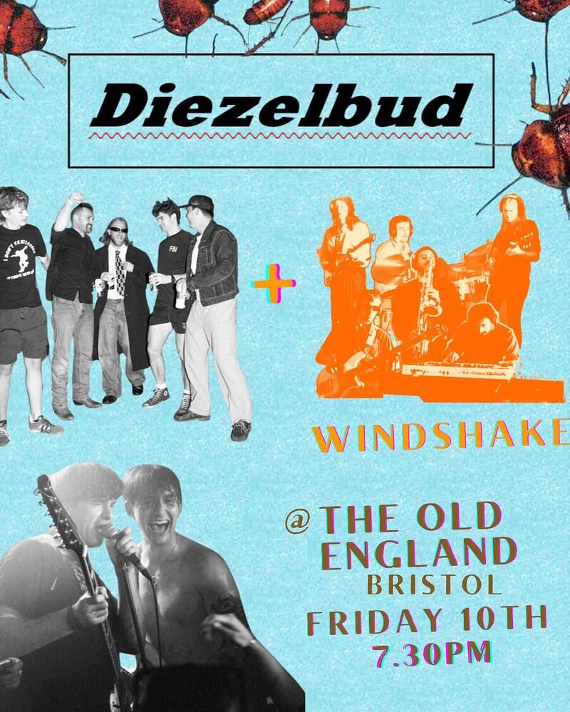 Diezelbud at The Old England Pub