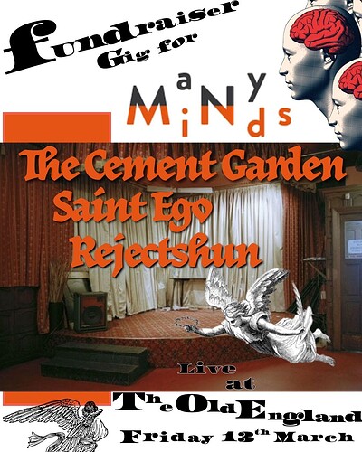 Fundraiser Gig for Many Minds - THE CEMENT GARDEN / SAINT EGO / REJECTSHUN at The Old England Pub