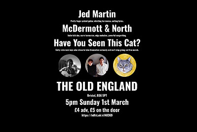 Jed Martin + McDermott & North + Have You Seen This Cat? at The Old England Pub