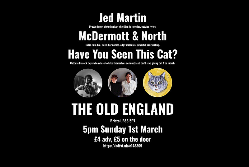 Jed Martin + McDermott & North + Have You Seen This Cat? at The Old England Pub