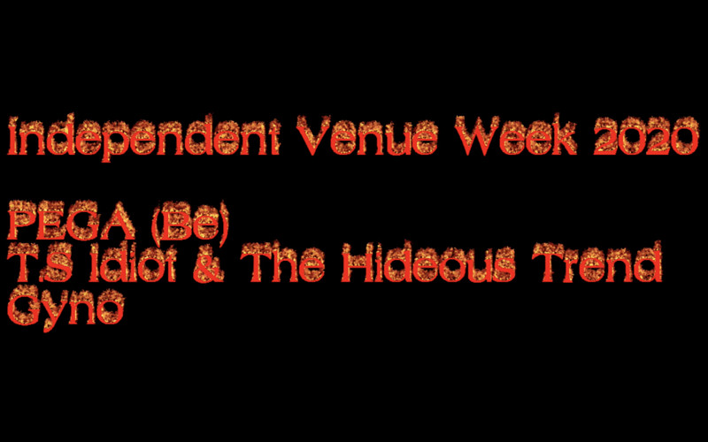 PEGA, T.S Idiot & The Hideous Trend, Fräulein at The Old England Pub