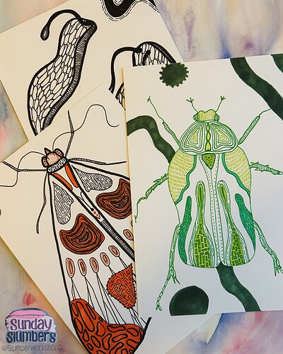 Slugs n Bugs Illustration Workshop at The Old Market Assembly