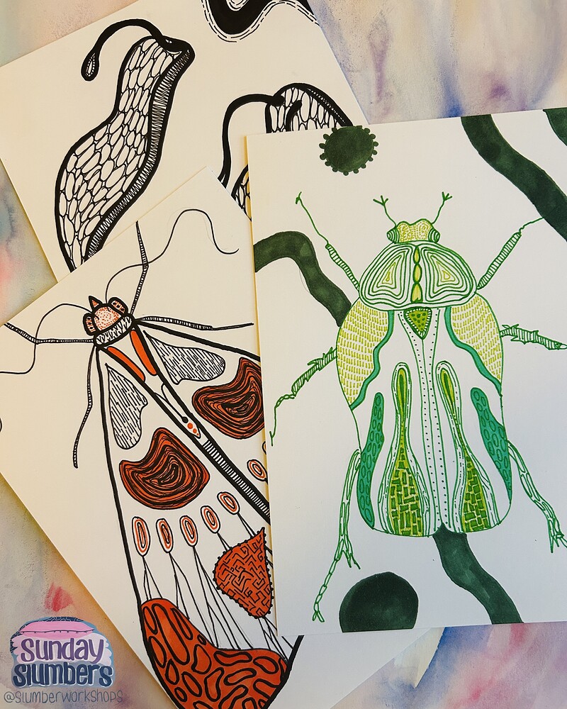 Slugs n Bugs Illustration Workshop at The Old Market Assembly