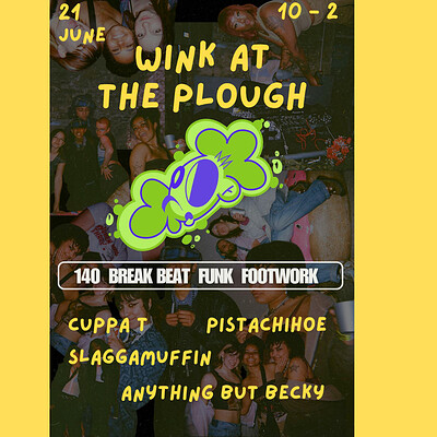 Wink Takeover The Plough at The Plough Inn