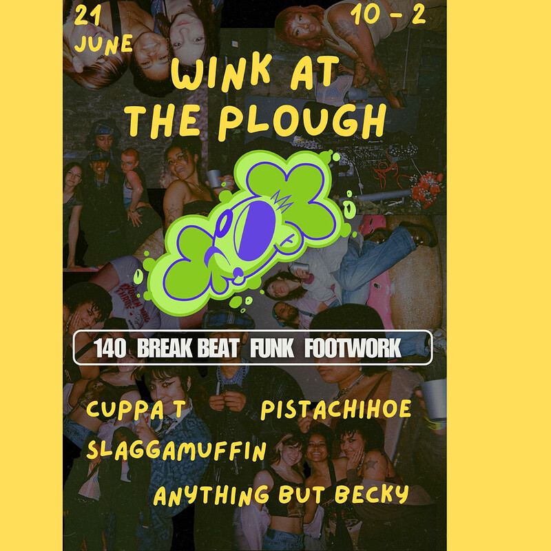 Wink Takeover The Plough at The Plough Inn