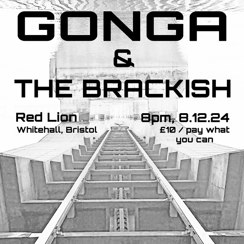 Gonga and The Brackish at the Red Lion at The Red Lion, Whitehall, Bristol