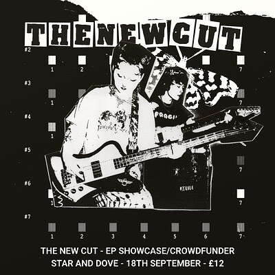 The New Cut Crowdfunder/Showcase at The Star and Dove, Bedminster