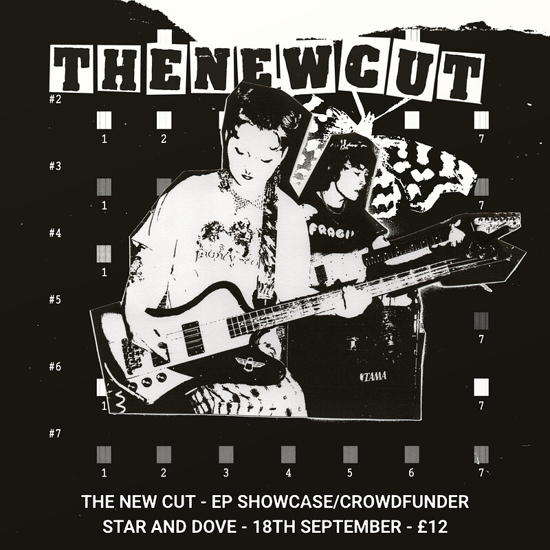 The New Cut Crowdfunder/Showcase at The Star and Dove, Bedminster