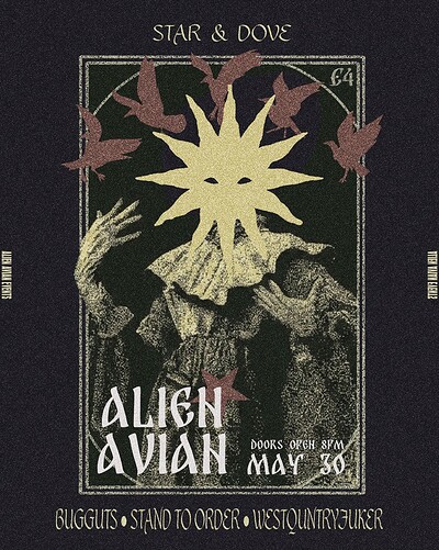 Westquntryfuker, Stand To Order, Bug Guts // Alien Avian #19 at The Star and Dove