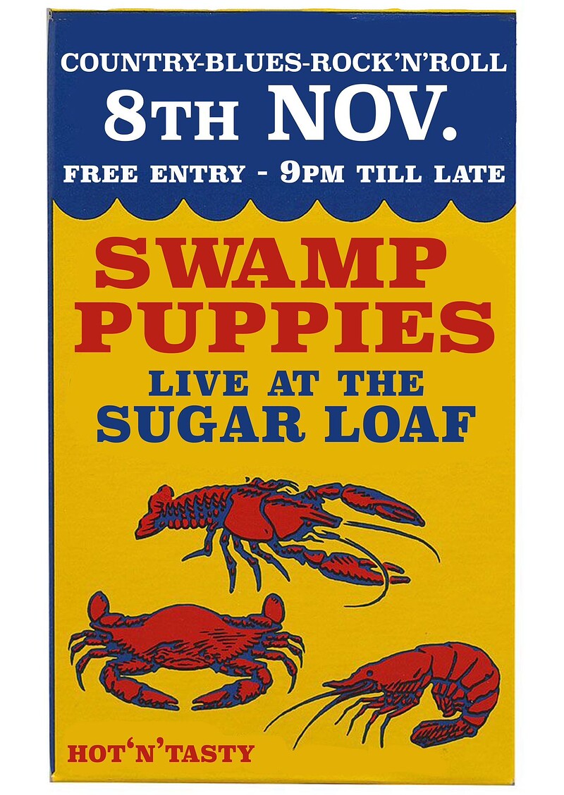 Swamp Puppies at the Loaf at The Sugar Loaf bs5