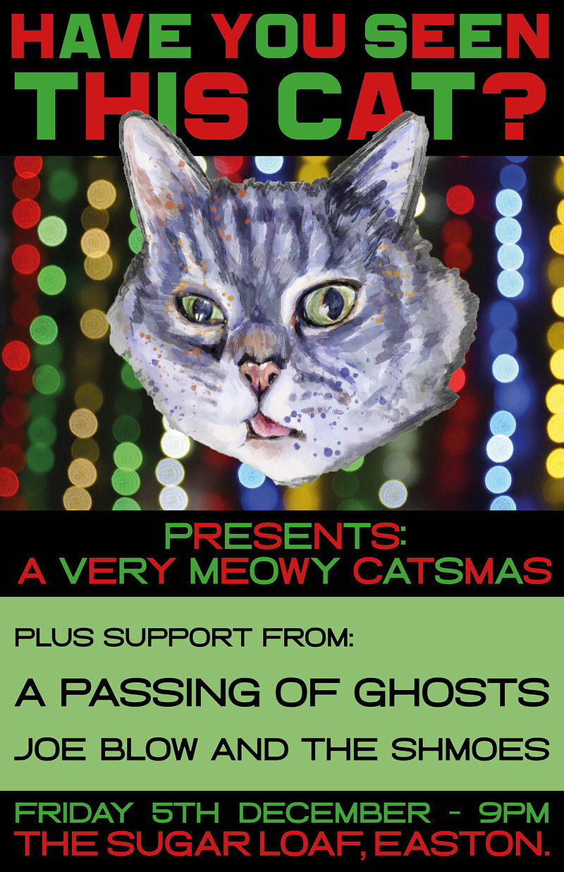 A Very Meowy Catsmas at The Sugar Loaf