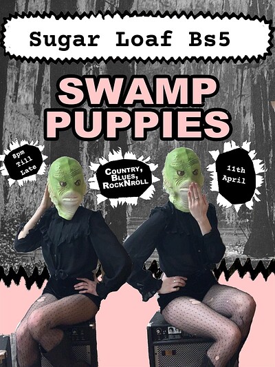 Swamp Puppies at The Sugar Loaf