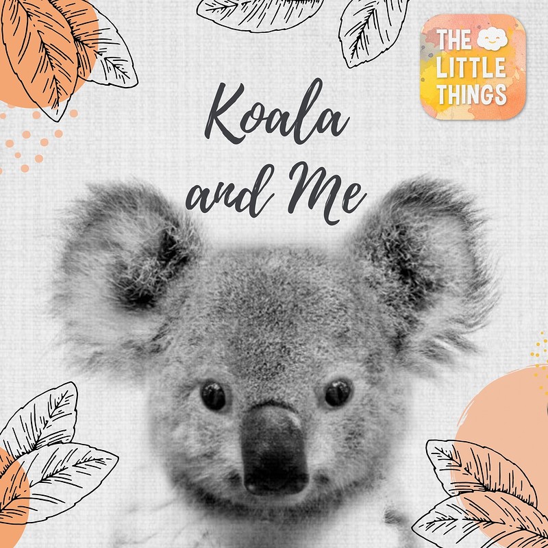 Koala and Me at The Theatre Shop, Clevedon