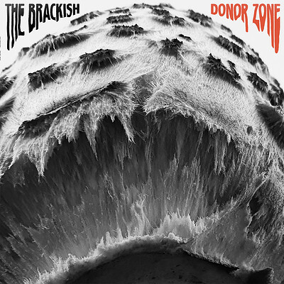 The Brackish + Foot Foot + Surface Air & The Noise at The Thunderbolt