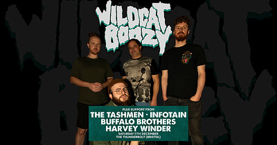 WE NEED BANDS | Wildcat Boozy + Support at The Thunderbolt