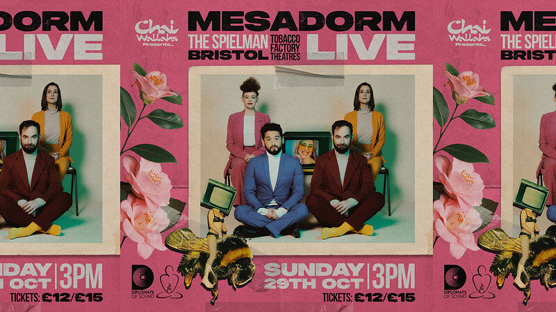 Mesadorm at The Tobacco Factory
