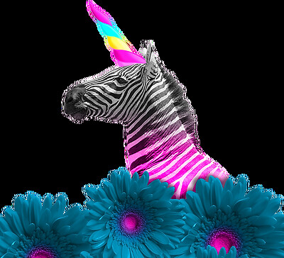 Ecstatic Prance at The Trinity Centre