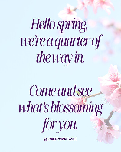 Cosy 1:1 Tarot Readings in Central Bristol at To The Moon